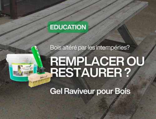 Comment savoir s’il faut restaurer ou remplacer le bois usé | Wood Reviver Power Gel