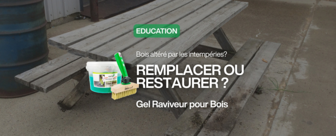 Bois altéré par les intempéries? REMPLACER OU RESTAURER? Gel Raviveur pour Bois